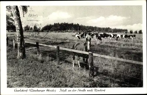 Ak Garlstorf Niedersachsen, Idyll an der Straße nach Nindorf, Kuhherde