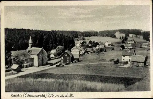 Ak Kniebis Freudenstadt im Nordschwarzwald, Teilansicht, Wald, Felder