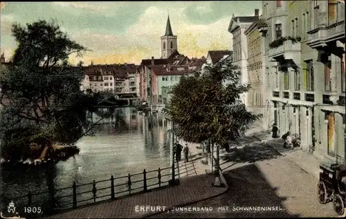 Ak Erfurt in Thüringen, Junkersand, Schwaneninsel