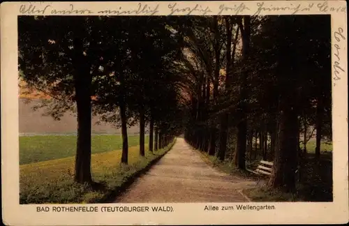 Ak Bad Rothenfelde Teutoburger Wald, Allee zum Wellengarten