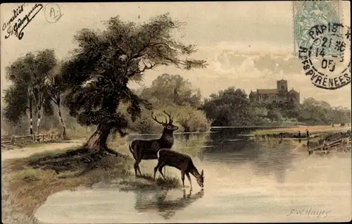 Künstler Ak Hayes, F. W., Hirsch und Reh am Flussufer