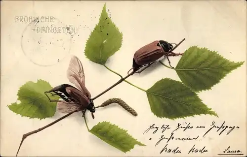 Ak Glückwunsch Pfingsten, Zwei Maikäfer auf den Blättern