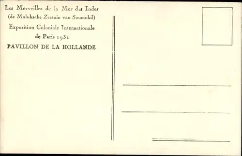 Ak Les Merveilles de la Mer des Indes, Exposition Coloniale Internationale de Paris 1931, Fische