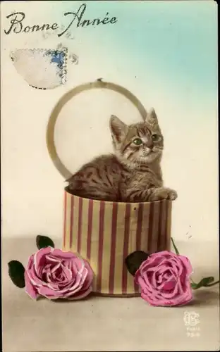Ak Glückwunsch Neujahr, Kleine Katze in einer Schachtel, Rosen