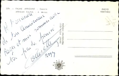 Ak Faune Africaine, Gazelle, Dorkasgazelle