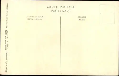 Künstler Ak Dupond, Hub., Grand Labbe, Große Raubmöwe, Stercorarius skua skua, Nr 308