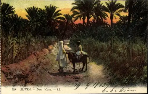 Ak Biskra Algerien, Dans l'Oasis, Oase, Palmen, Personen mit Esel