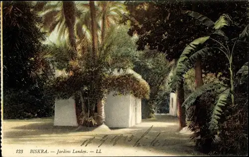 Ak Biskra Algerien, Jardins Landon, Palmengarten