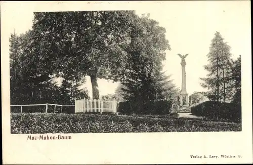 Ak Wœrth sur Sauer Woerth Wörth an der Sauer Elsass Bas Rhin, Mac-Mahon-Baum, Säule