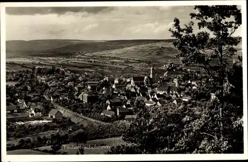 Ak Tauberbischofsheim in Baden, Gesamtansicht