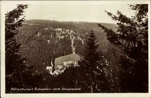 Ak Ruhestein Baiersbronn im Schwarzwald, Teilansicht