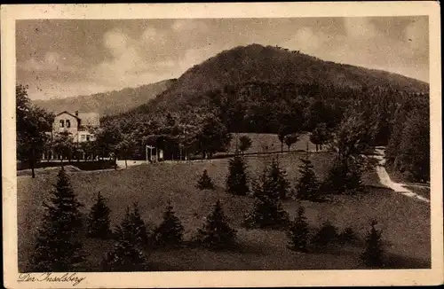 Ak Brotterode Trusetal in Thüringen, kl. und gr. Inselsberg, Grenzwiese