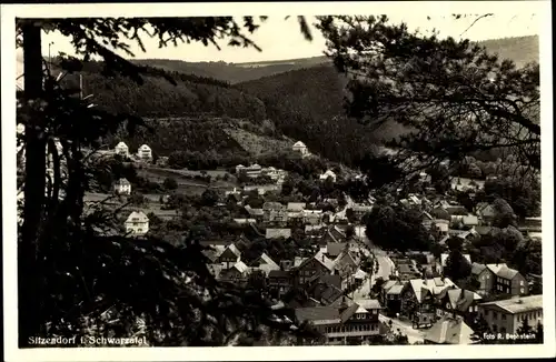 Ak Sitzendorf an der Schwarza in Thüringen, Talblick auf den Ort