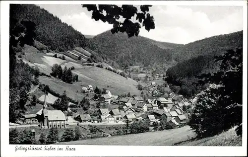 Ak Sieber Herzberg am Harz, Gesamtansicht