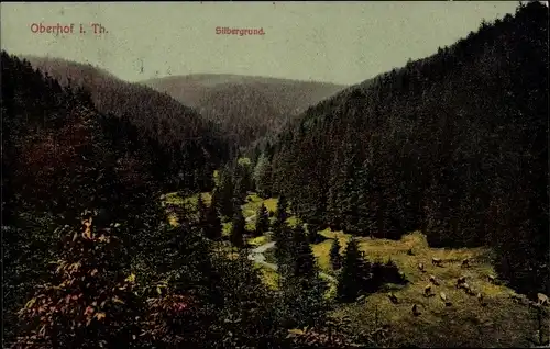 Ak Oberhof im Thüringer Wald, Silbergrund