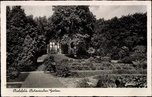 Ak Bielefeld in Nordrhein Westfalen, Botanischer Garten