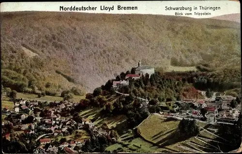 Ak Schwarzburg in Thüringen, Blick vom Trippstein