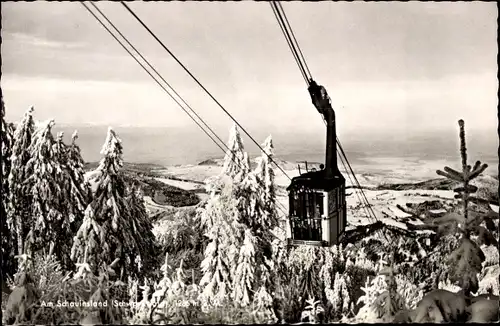 Ak Freiburg im Breisgau, Schauinsland, Winterwald
