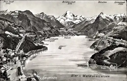 Ak Brunnen Kt Schwyz,Vier-Waldstättersee, Gesamtansicht, Treib, Flüelen, Bristenstock, Rorschach