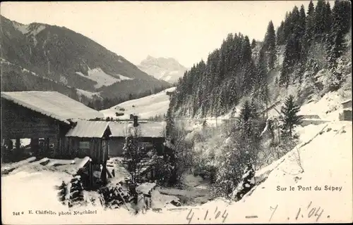 Ak Le Sepey Ormont Dessous Kanton Waadt, Sur le pont, Winteransicht