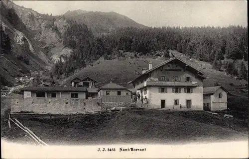 Ak Les Contamines Montjoie Haute Savoie, Nant Borrant