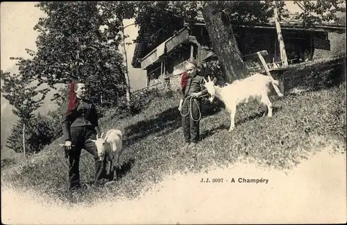 Ak Champéry Kanton Wallis, Ziegenhirten