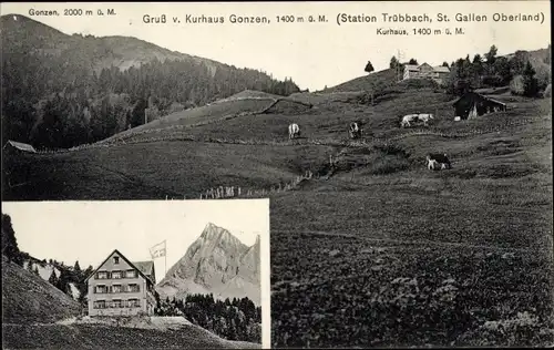 Ak Trübbach Kanton St. Gallen, Gonzen, Kurhaus Gonzen, Panorama