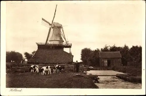 Ak Holland, Windmühle, Kühe