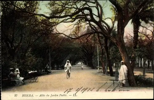 Ak Biskra Algerien, Allee du Jardin Public
