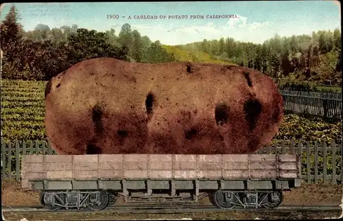 Ak Gemüse, Kartoffel, A Carload of Potato from California