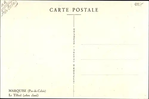 Künstler Ak Marquise Pas de Calais, Le Tilleul (arbre classe)