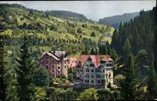 Ak Triberg im Schwarzwald, Schwarzwald-Hotel