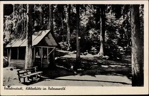 Ak Freudenstadt Schwarzwald, Höhenluftkurort, Köhlerhütte im Palmenwald, Bank