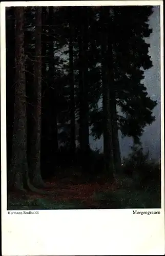 Künstler Ak Rüdisühli, Hermann, Morgengrauen, Waldmotiv