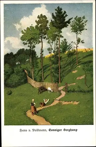 Künstler Ak von Volkmann, Hans, Sonniger Berghang