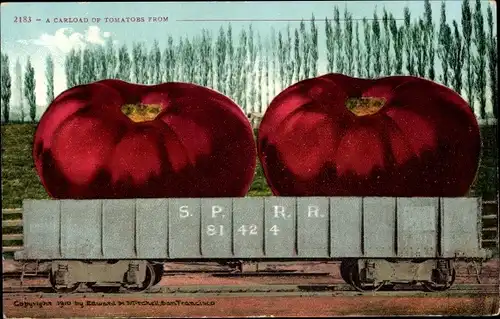 Ak USA, A Carload of Tomatos, S.P.R.R. 81424