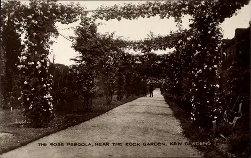 Ak London City England, Kew Gardens, the Rose Pergola, near the Rock Garden