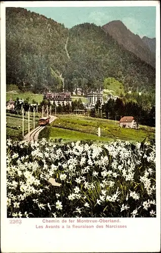 Ak Montreux Oberland Kanton Waadt, Les Avants, Narzissenfeld, Bahn, Blick zum Ort