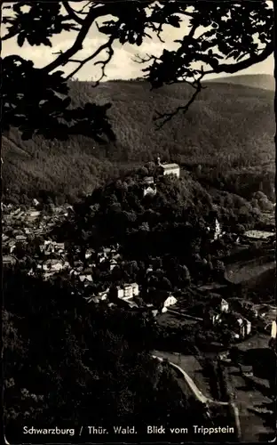 Ak Schwarzburg in Thüringen, Blick vom Trippstein