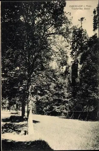 Ak Oberhof im Thüringer Wald, Triefender Stein