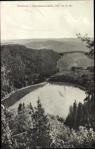Ak Feldberg im Schwarzwald, Feldsee, Panorama