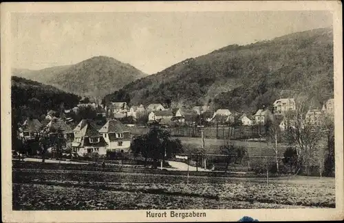 Ak Bad Bergzabern im Kreis Südliche Weinstraße, Gesamtansicht des Ortes