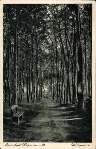 Ak Ostseebad Kölpinsee auf Usedom, Waldpartie, Waldweg, Bank