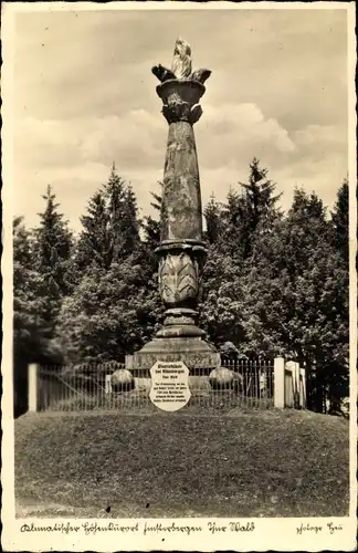 Ak Finsterbergen Friedrichroda Thüringen, Blick auf die Winfriedsäule, Denkmal
