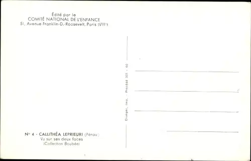 Ak Blau gelb brauner Schmetterling, Callithea Leprieuri