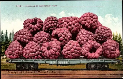 Ak USA, A Carload of Raspberries, S.F. 79482