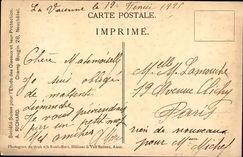 Ak La Mesange Huppee, Haubenmeise