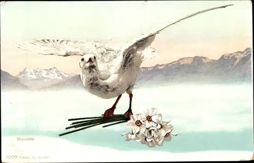 Ak Mouette, Möwe mit Narzissen