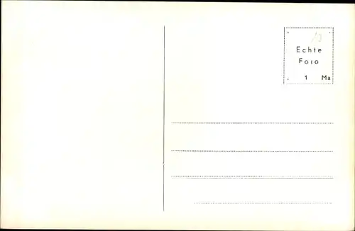 Foto Ak Hundeportrait, Welpen in einem Weidenkorb