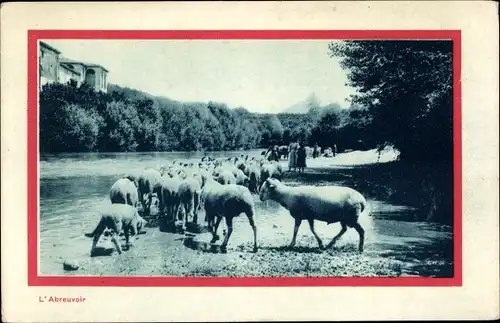 Ak L'Abreuvoir, Schafherde am Wasser